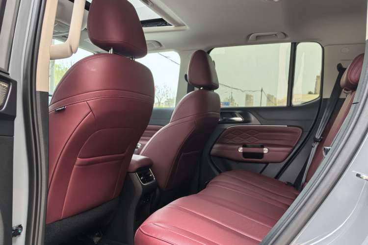 Used Tank 300 2024 2.0T Conqueror
