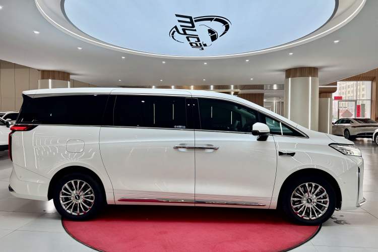 Used Wey Gaoshan 2025 Four-Wheel Drive Alpine 8 Exterior 8