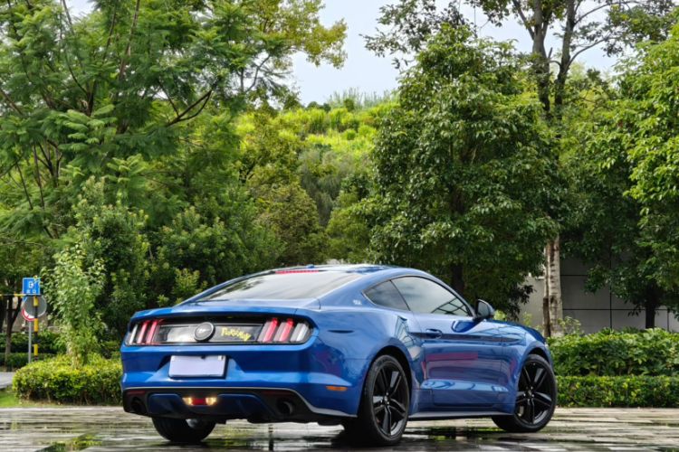 Used Ford Mustang 2016 2.3T Performance Edition