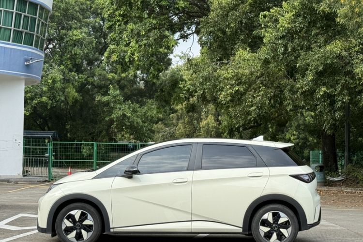 Used BYD Dolphin 2024 Honor Edition 420km Fashion Version
