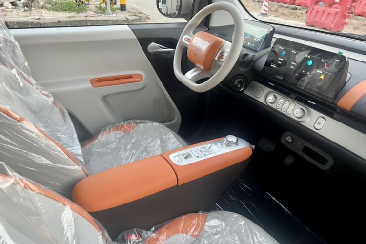 Used Qiyuan Lumin 2025 301km Honey Dew Edition
