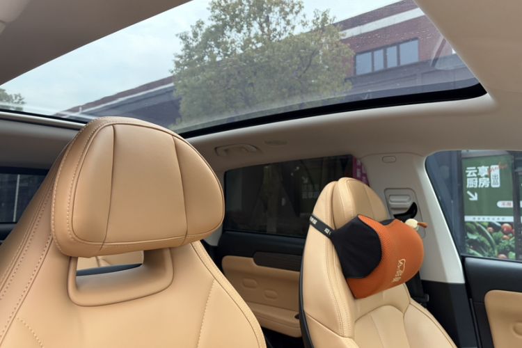 Used Leapmotor C11 2024 All-Electric 580 Luxury Edition
