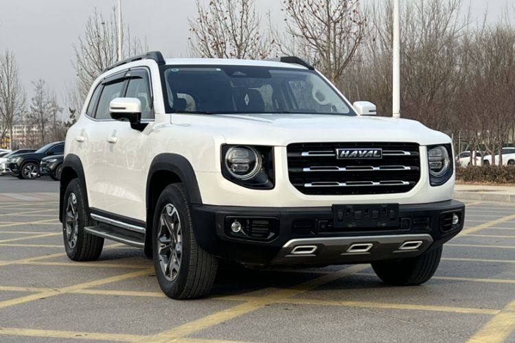 Used Haval DARGO 2021 2.0T DCT 4x4 Chinese Rural Dog Edition
