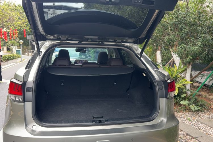 Used Lexus RX 2020 Revised Version 300 Two-Wheel Drive Comfort Edition