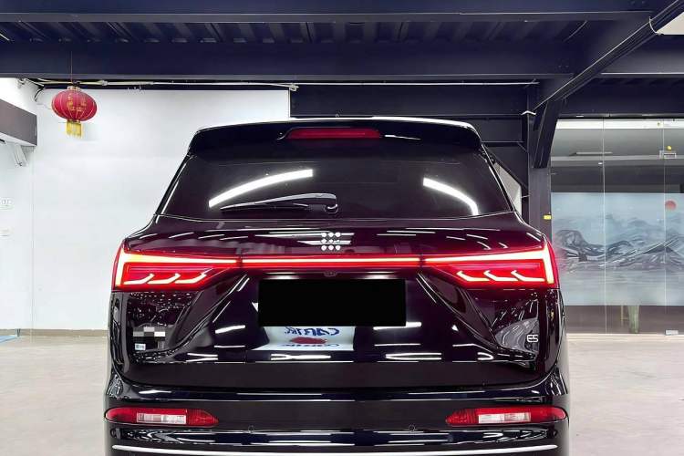 Used Landian E5 2024 Honor Edition 100KM Premium Model 7 Seats
