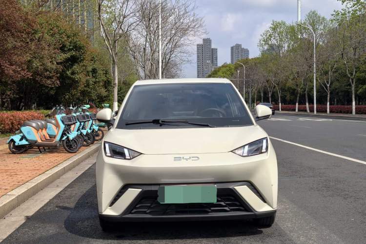 Used BYD Seagull 2025 305 km Free Version