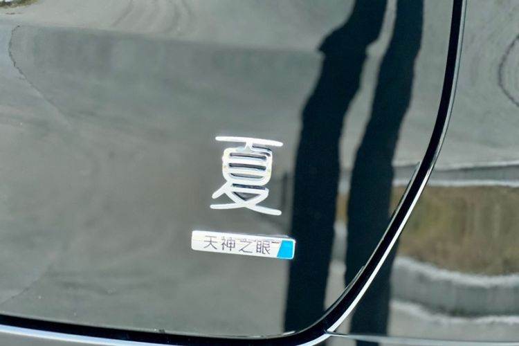 Used BYD Xia 2025 DM-i 1.5T 100km Leading Model