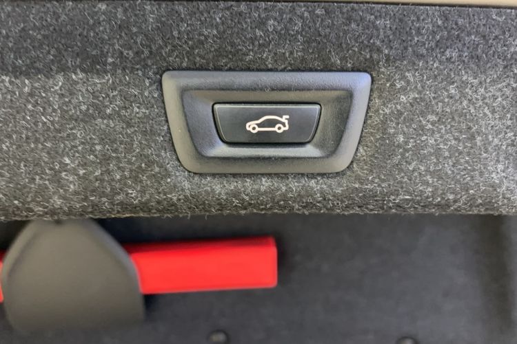 Used BMW 5 Series New Energy 2019 530Le Luxury Package