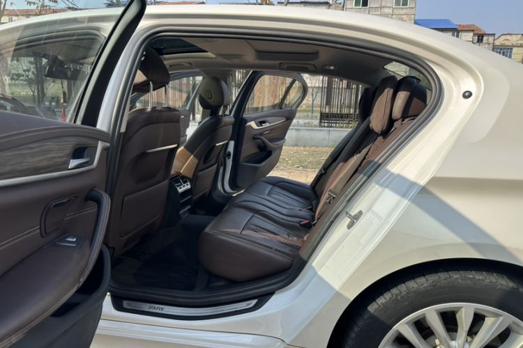 Used BMW 5 Series New Energy 2020 530Le Luxury Package
