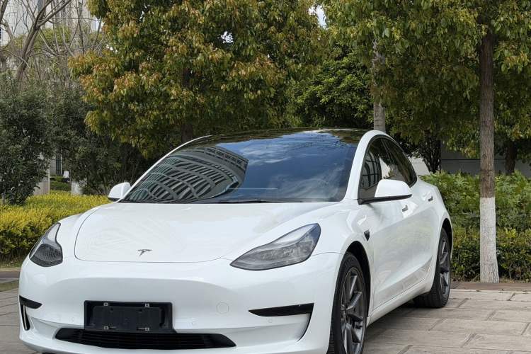 Used Tesla Model 3 2021 Standard Range Rear-Wheel Drive Upgraded Version 3D6