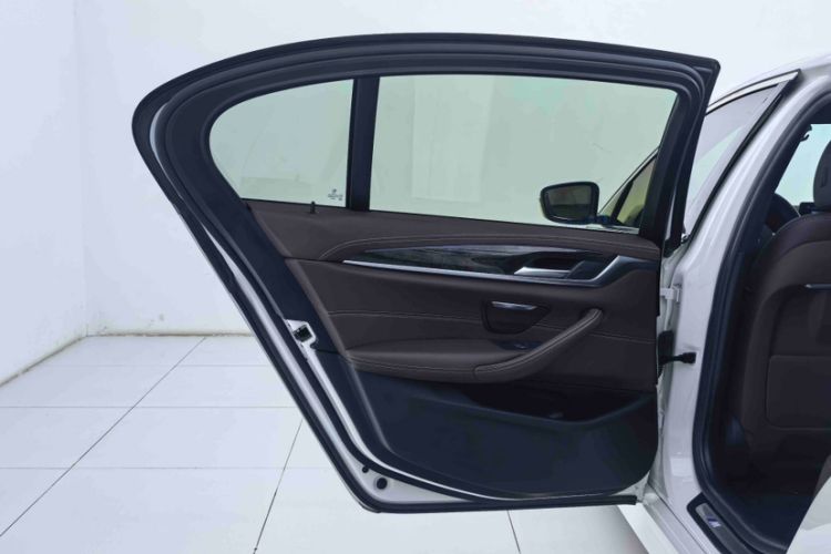 Used BMW 5 Series 2020 525Li M Sport Package Exterior 7