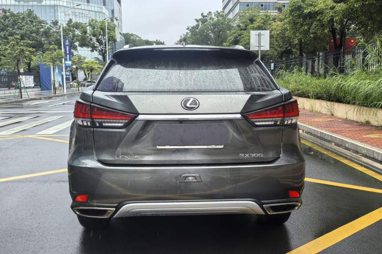 Used Lexus RX 2020 300 Two-Wheel Drive Elite Edition China VI Standard