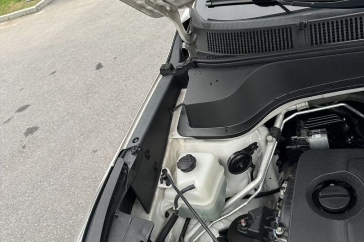 Used Kia Sportage R 2019 2.0L Automatic Smart Luxury Edition Interior 6