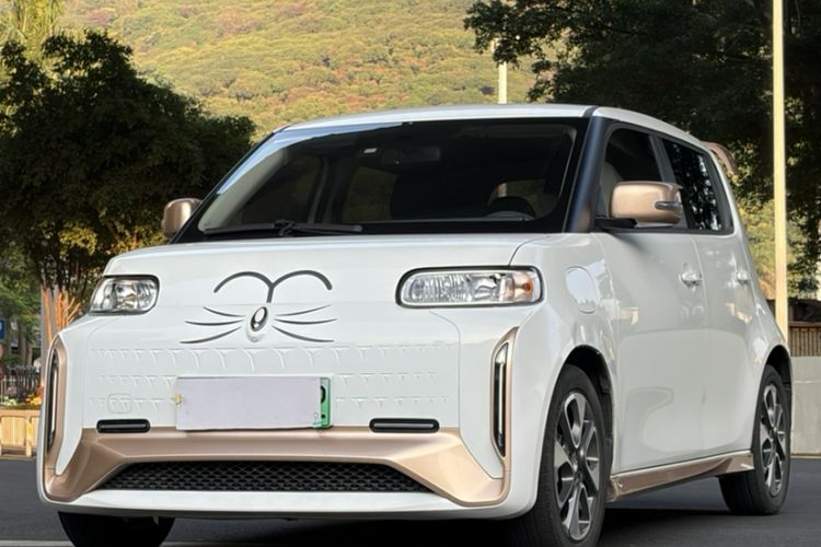 Used ORA White Cat 2022 Xiaoyue Mao Edition 360 km Luxury Model Lithium NMC