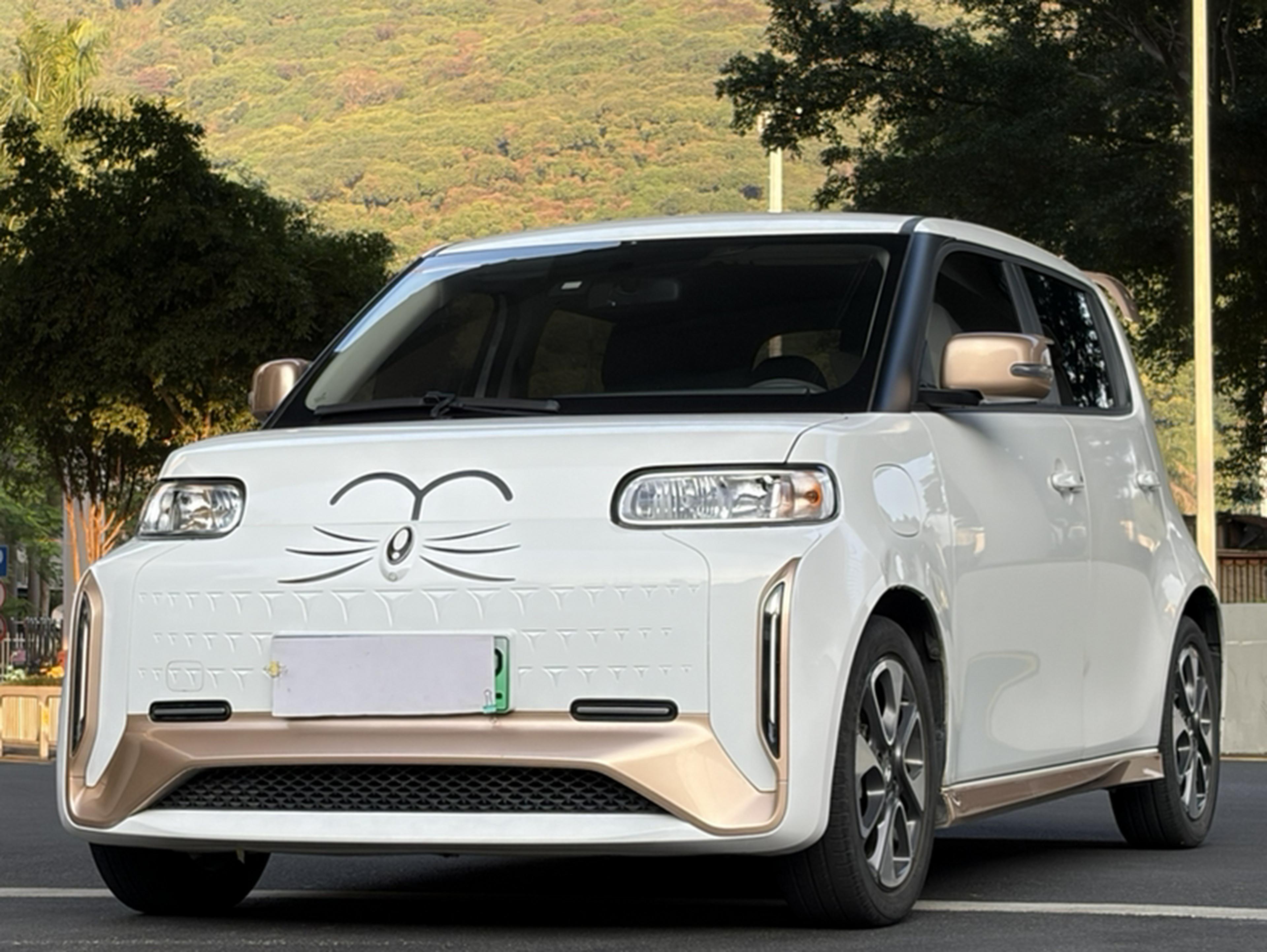 Under Front Bumper