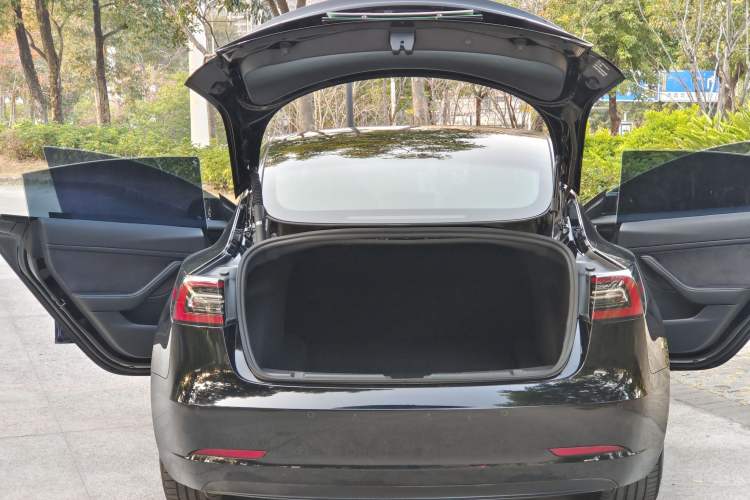 Used Tesla Model 3 2021 Standard Range Rear-Wheel Drive Upgraded Version 3D6