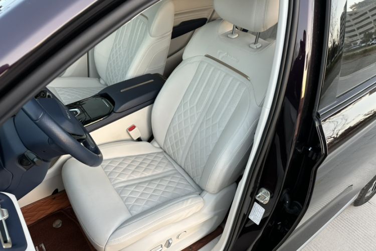 Used Wuling Victory 2023 2.0L DHT Luxury Edition