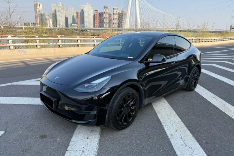 Used Tesla Model Y 2021 Standard Range Rear-Wheel Drive Version