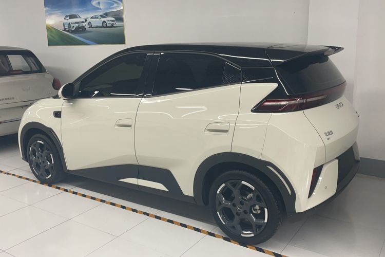 Used BYD Seagull 2025 Smart Drive Version 305 km Freedom Edition Exterior 5