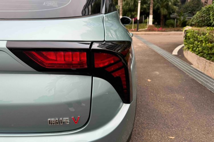 Used NETA V 2022 Long-Range Industry Custom Edition Exterior 12