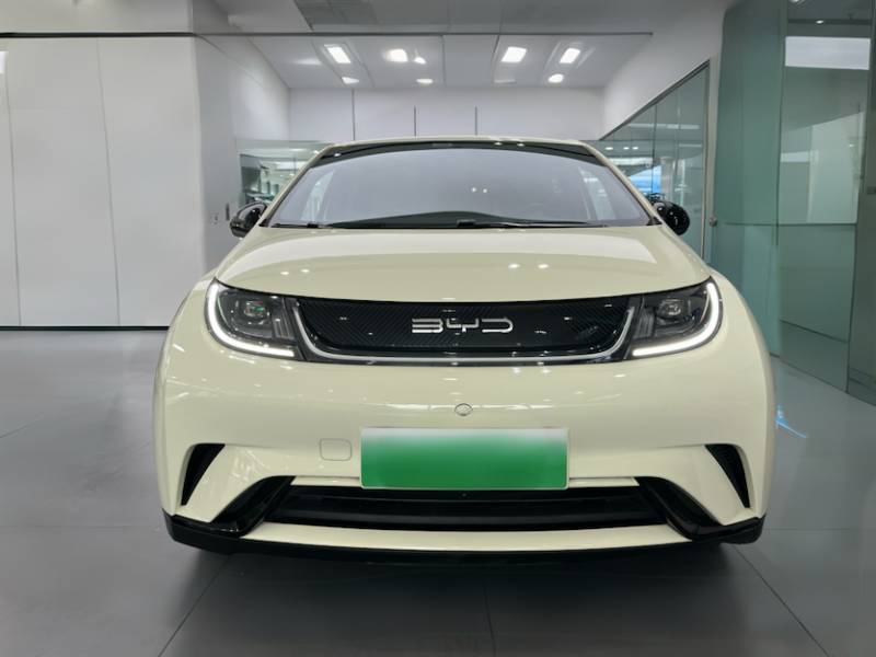 Used BYD Dolphin 2023 420 km Free Version — 31
