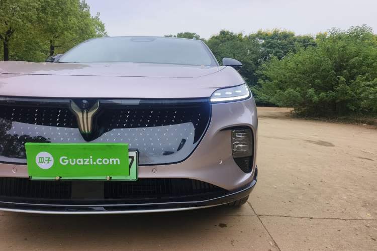 Used VOYAH COURAGE 2024 Four-Wheel Drive Global Edition
