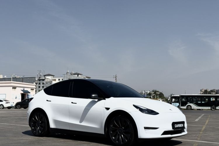Used Tesla Model Y 2022 Performance High-Performance All-Wheel-Drive Version Exterior 5