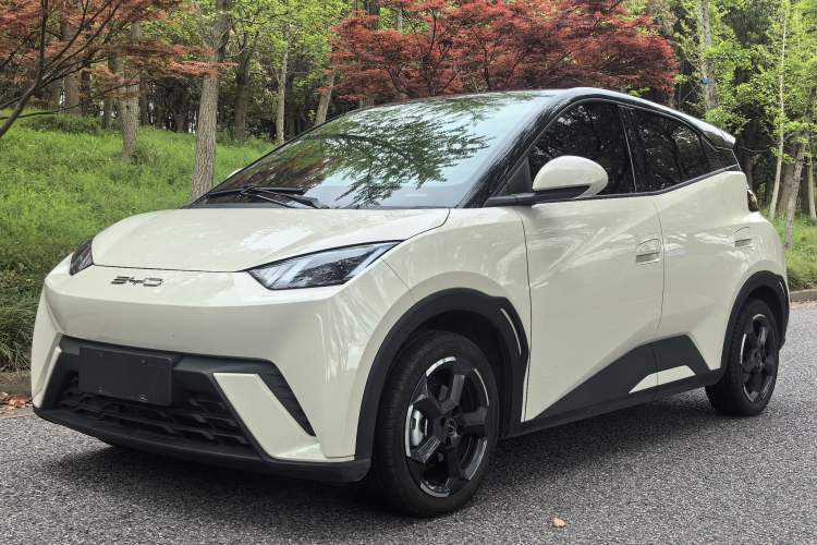 Used BYD Seagull 2023 Free Edition Guazi used car, China used car export, Used car for sale, Used  cars, Cheapest cars for sale