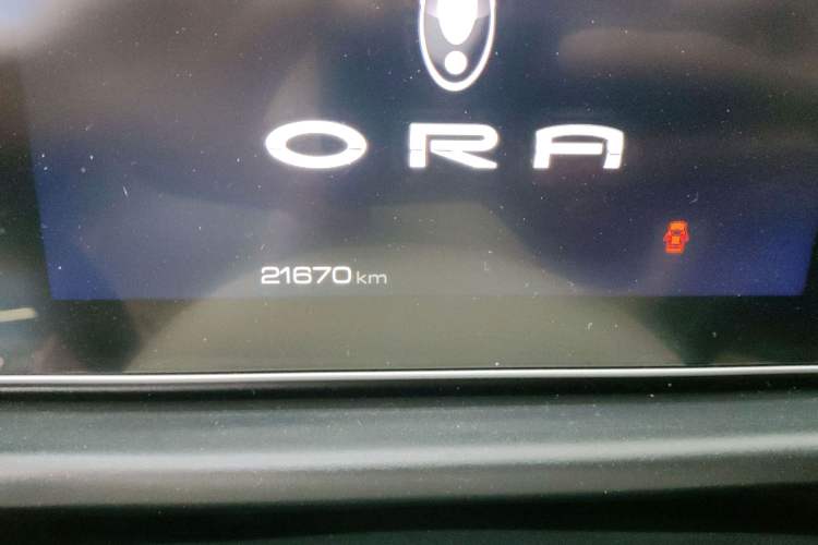 Used ORA Good Cat 2023 401 km Standard Range Luxury Version Lithium Iron Phosphate
