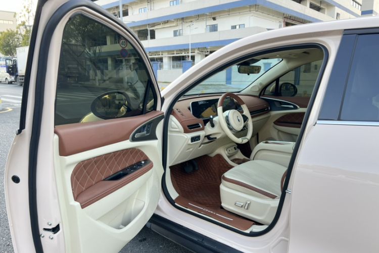 Used ORA Good Cat 2023 401 km Standard Range Luxury Version Lithium Iron Phosphate
