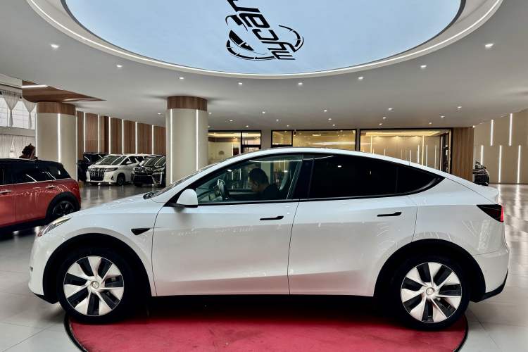 Used Tesla Model Y 2021 Standard Range Rear-Wheel Drive Version
