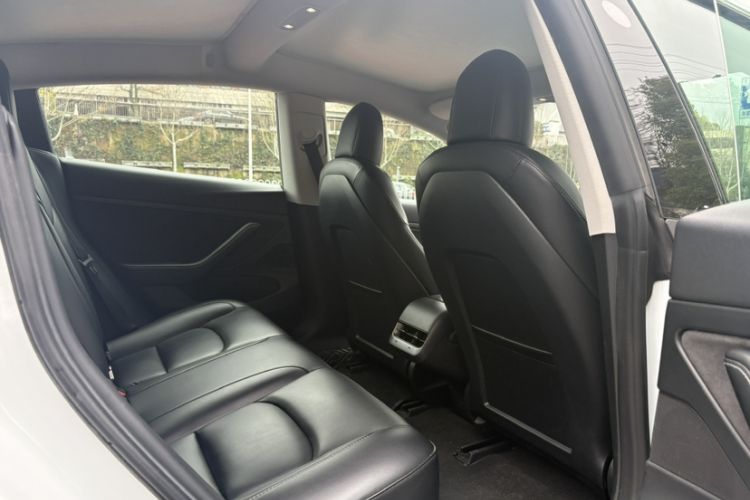 Used Tesla Model 3 2020 Standard Range Rear-Wheel Drive Upgraded Version