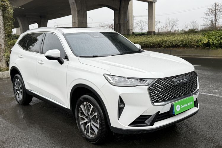 Used Haval H6 2024 1.5T Two-Wheel-Drive Classic Edition
