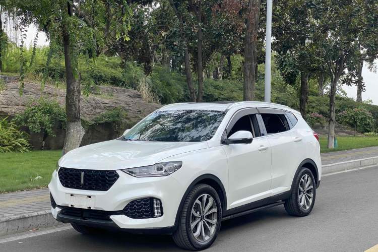 Used Wey VV6 2019 2.0T Two-Wheel-Drive Ultra-Luxury Version China VI Standard