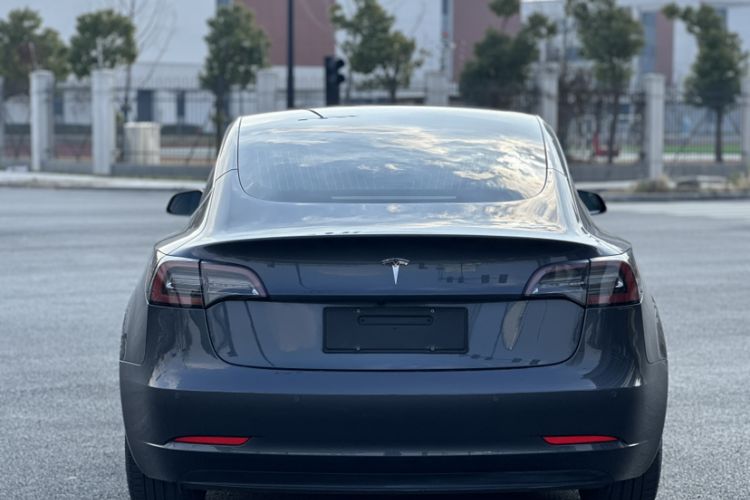 Used Tesla Model 3 (Import) 2019 Long-Range Rear-Wheel-Drive Version
