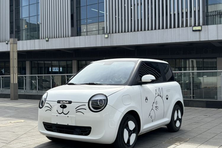 Used Qiyuan Lumin 2023 205km Xiangqin Version