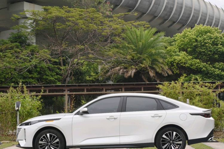 Used CHANGAN Eado PHEV 2025 Smart New Blue Whale 145KM High-Energy Edition
