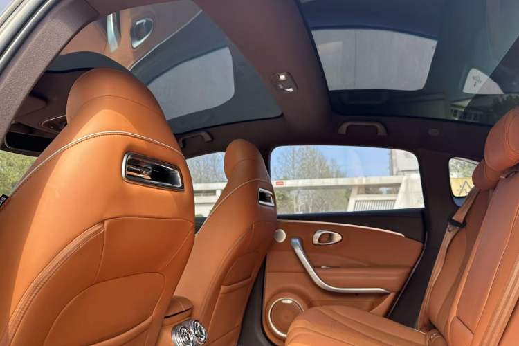 Used ORA Lightning Cat 2022 555 km Luxury Edition