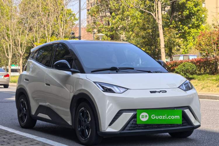 Used BYD Seagull 2023 Free Edition Exterior 2