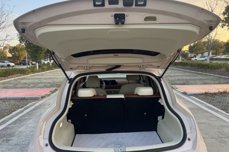 Used ORA Good Cat 2023 401 km Standard Range Luxury Version Lithium Iron Phosphate
