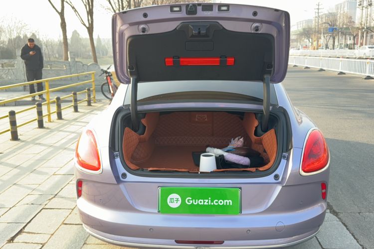 Used ORA Lightning Cat 2022 555 km Luxury Edition