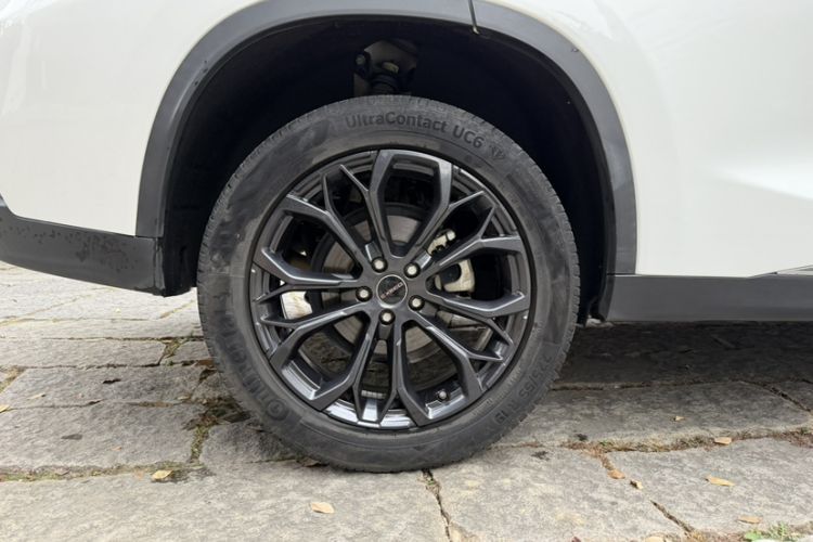 Used EXEED TX 2020 1.6T Two-Wheel Drive Star Edition