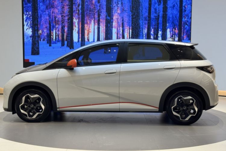 Used BYD Dolphin 2021 405 km Fashion Edition Exterior 5