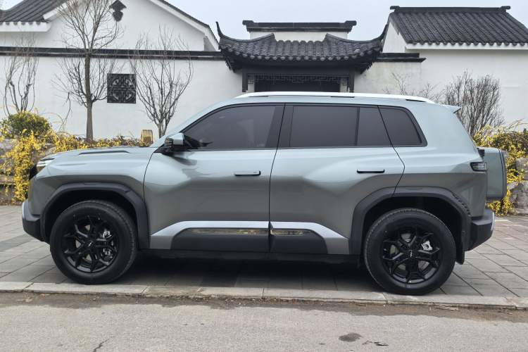 Used Formula Leopard Titanium 3 2025 Model 501KM Rear-Drive Ultra Version