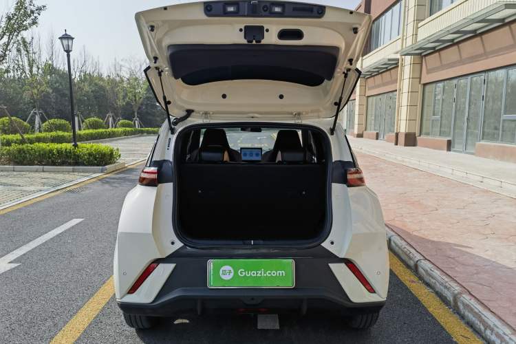 Used BYD Seagull 2024 Honor Edition 305km Freedom Version
