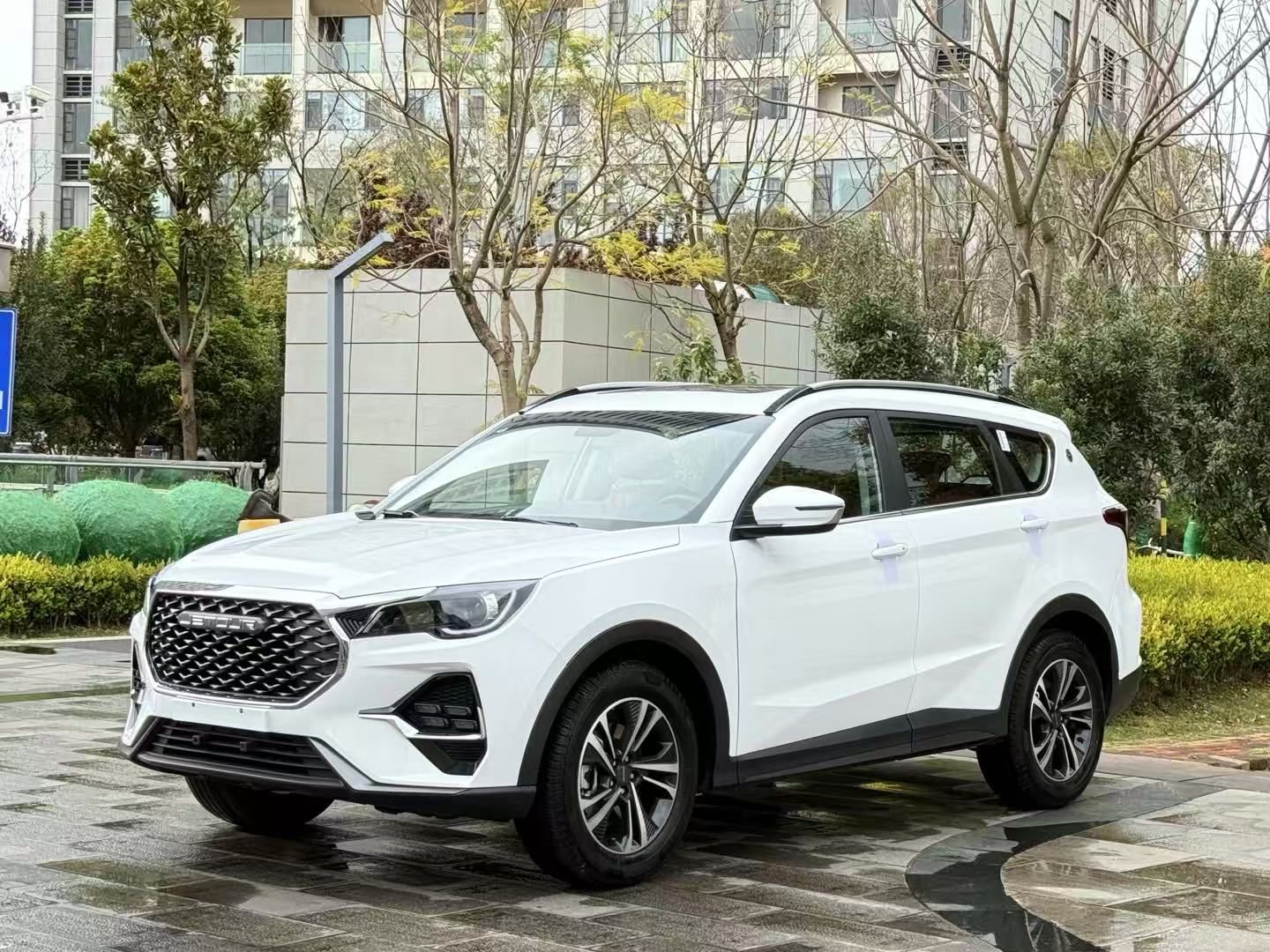 Parte inferior delantera