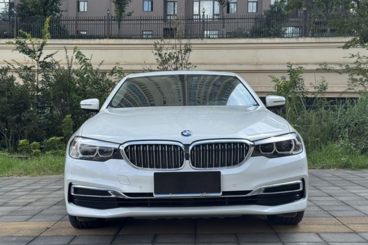 Used BMW 5 Series 2019 Facelifted 530Li Leading Edition Luxury Package