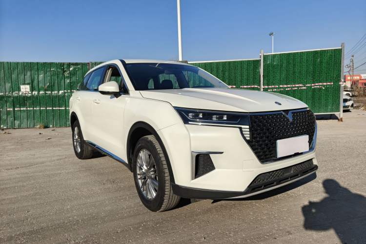 Used Venucia Star 2021 260T Automatic Star Edition