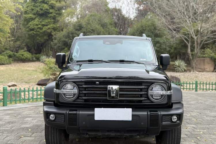 Used Tank 300 2024 2.0T Conqueror
