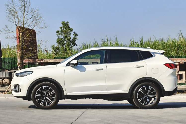 Used Wey VV6 2021 2.0T Two-Wheel Drive Smart Protection+